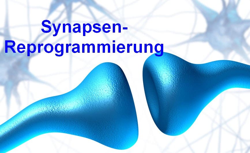 Synapsen Reprogrammierung